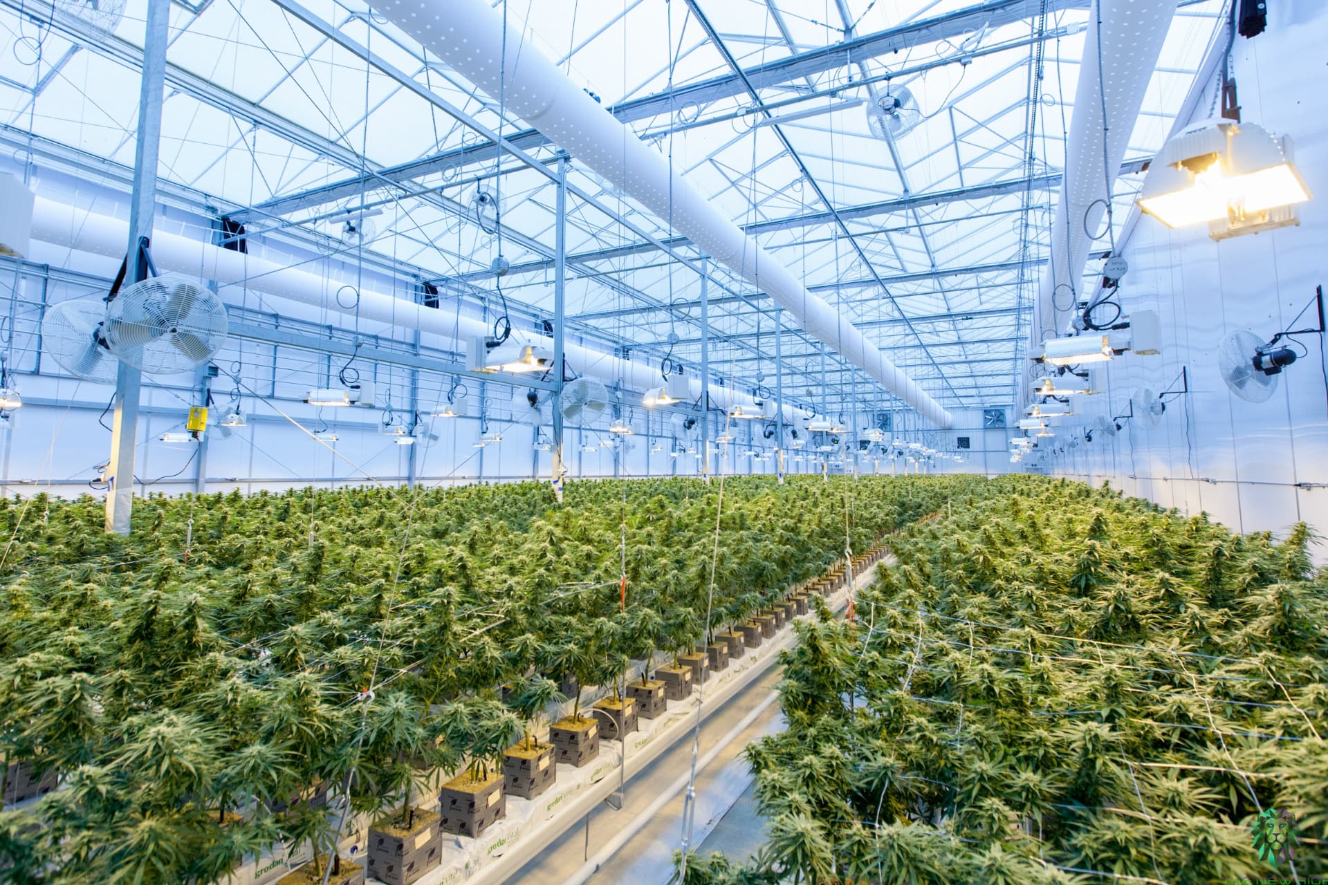 Spanisches Startup erh&auml;lt Genehmigung f&uuml;r Testlauf der Produktion