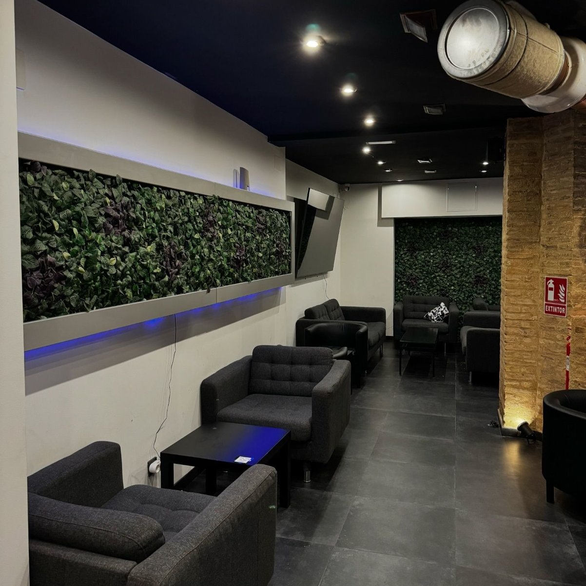 Minimalistischer Sitzbereich im Cannabis-Verein TURIA62 in Valencia mit grüner Wanddekoration